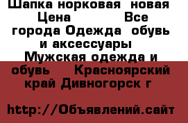 Шапка норковая, новая › Цена ­ 5 000 - Все города Одежда, обувь и аксессуары » Мужская одежда и обувь   . Красноярский край,Дивногорск г.